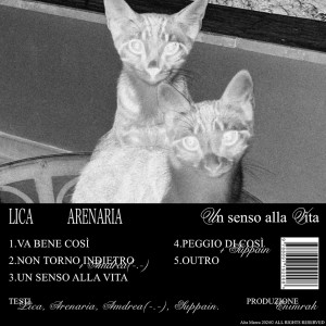 Listen to non torno indietro song with lyrics from lica