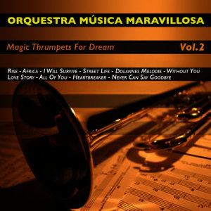 收聽Orquesta Música Maravillosa的I Will Survive歌詞歌曲