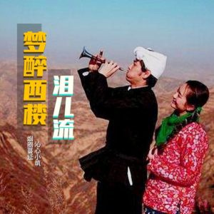 Album 梦醉西楼泪儿流(对唱版) from 