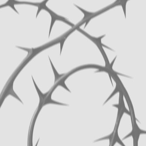Album Intoxicated from Doreus
