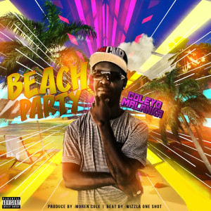 ดาวน์โหลดและฟังเพลง Beach Party พร้อมเนื้อเพลงจาก coleyo malanka