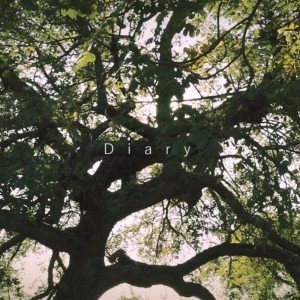 Listen to Diary (feat. ナースロボ＿タイプＴ) song with lyrics from Aa