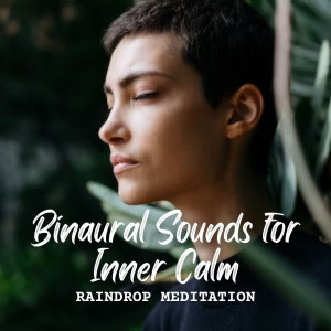 Album Raindrop Meditations: Binaural Sounds for Inner Calm from Solfeggio Frequencies Healing