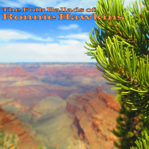 收聽Ronnie Hawkins的A Poor Wayfaring Stranger歌詞歌曲
