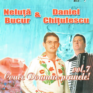 Album Coace Doamne prunele, Vol. 7 from Neluta Bucur