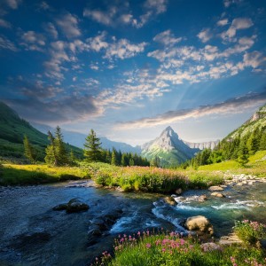 default playlist img