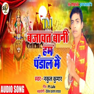 Nakul Kumar的專輯Dj Bajawat Bani Ham Pandal Me
