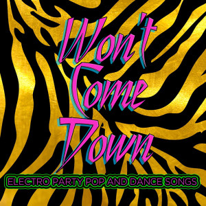 Various Artists的专辑Won't Come Down
