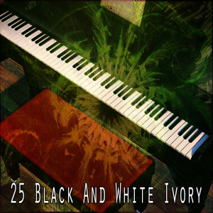 Album 25 Black And White Ivory from Piano