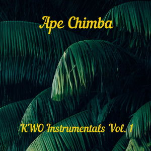 ดาวน์โหลดและฟังเพลง Niña Del Mas Allá (Instrumental) พร้อมเนื้อเพลงจาก Ape Chimba