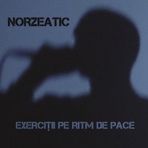 Listen to Haz de ne-has song with lyrics from Norzeatic