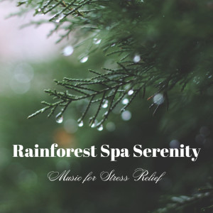 Rainforest Spa Serenity: Music for Stress Relief dari Happy Playlisted Music