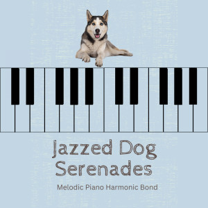 Jazzed Dog Serenades: Melodic Piano Harmonic Bond