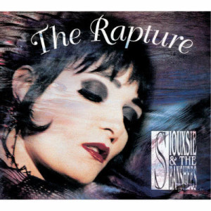 收聽Siouxsie And The Banshees的Not Forgotten歌詞歌曲