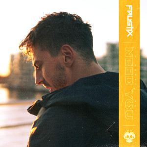 收聽Faustix的Need You歌詞歌曲