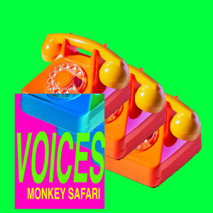 Album Voices from Monkey Safari