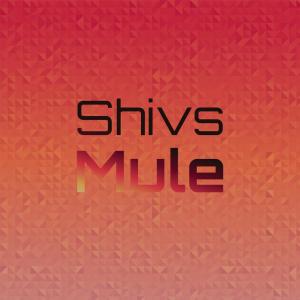 ดาวน์โหลดและฟังเพลง Pkt Deus พร้อมเนื้อเพลงจาก Juliete Jurn