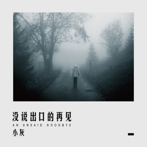 收聽小灰的沒說出口的再見歌詞歌曲