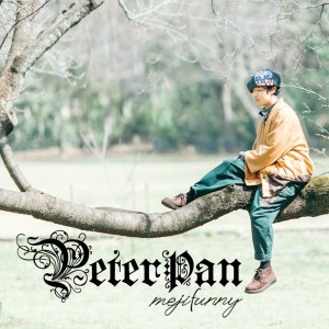 Listen to System (Explicit) song with lyrics from めじふぁにー