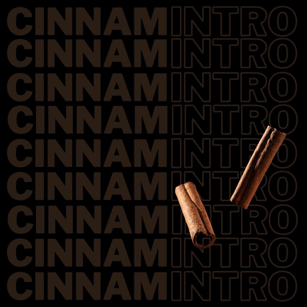 Cinnamintro (Explicit)