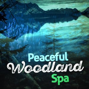 ดาวน์โหลดและฟังเพลง Runnel Flows พร้อมเนื้อเพลงจาก SPA