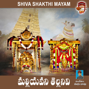 Album Mallieyavani Tellanivi (Shiva Shakthi Mayam) from Gayatri