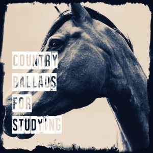 Country Hit Superstars的專輯Country Ballads for Studying
