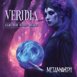 Metamorph的專輯Veridia (Leæther Strip Remix)