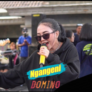 收听群星的Ngangeni歌词歌曲