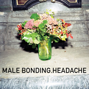 ดาวน์โหลดและฟังเพลง Chipping Away พร้อมเนื้อเพลงจาก Male Bonding