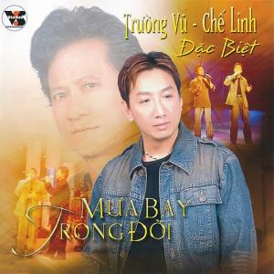 Trường Vũ的專輯Mưa Bay Trong Đời
