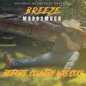 收聽Breeze MrDo2Much的Got Paid (feat. Big Yayo)歌詞歌曲