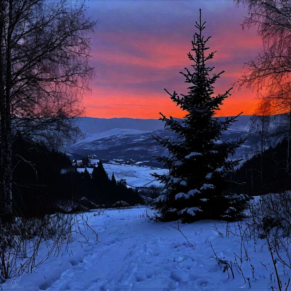 Winter's sunset (Slowed)