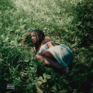 ดาวน์โหลดและฟังเพลง toes in the grass (Explicit) พร้อมเนื้อเพลงจาก Adanna Duru