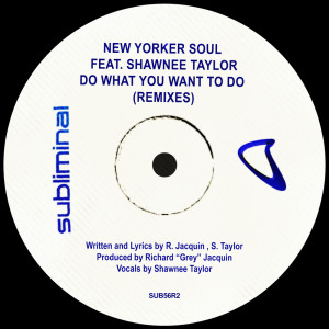 Listen to Do What You Want To Do (Classic Club Mix) song with lyrics from New Yorker Soul