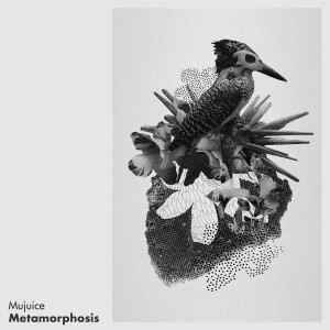 Album Metamorphosis from Mujuice