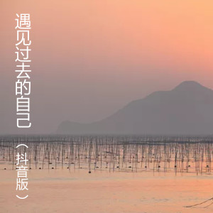 Listen to 遇见过去的自己（抖音版） (抖音版) song with lyrics from 1908公社