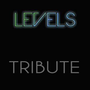 Avicii Cover Band的專輯Levels