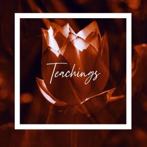 Dengarkan Teachings lagu dari Morning Dan dengan lirik