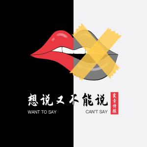Listen to 想说又不能说 song with lyrics from 爱音诗探