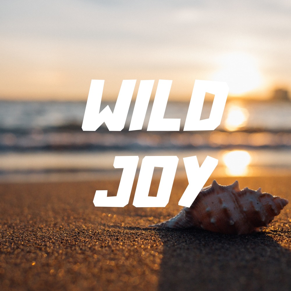Wild Joy