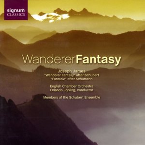 ดาวน์โหลดและฟังเพลง Wanderer Fantasy in C after Franz Schubert (D. 760): Allegro con fuoco ma non troppo พร้อมเนื้อเพลงจาก Marcello Viotti & English Chamber Orchestra