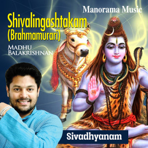 Dengarkan Shivalingashtakam (From "Sivadhyanam") lagu dari Madhu Balakrishnan dengan lirik