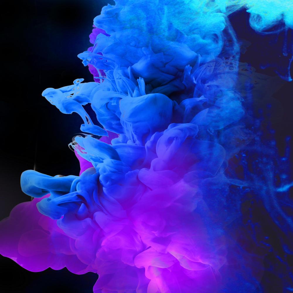 Do Not LEAVE (feat. VAID DILLI & RHYTHAM)