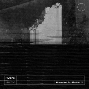 Listen to Binding song with lyrics from Hybral