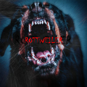 Listen to Rottweiler (Explicit) song with lyrics from Asha