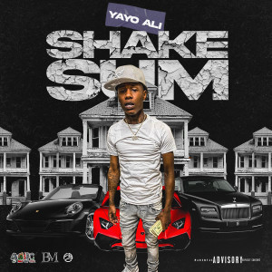Listen to Shake Sum (Explicit) song with lyrics from Yayo Ali