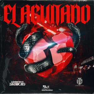 的專輯EL AGUITADO