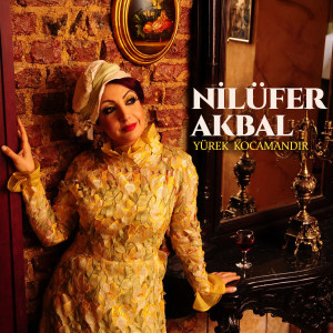 Listen to Yürek Kocamandır song with lyrics from Nilüfer Akbal