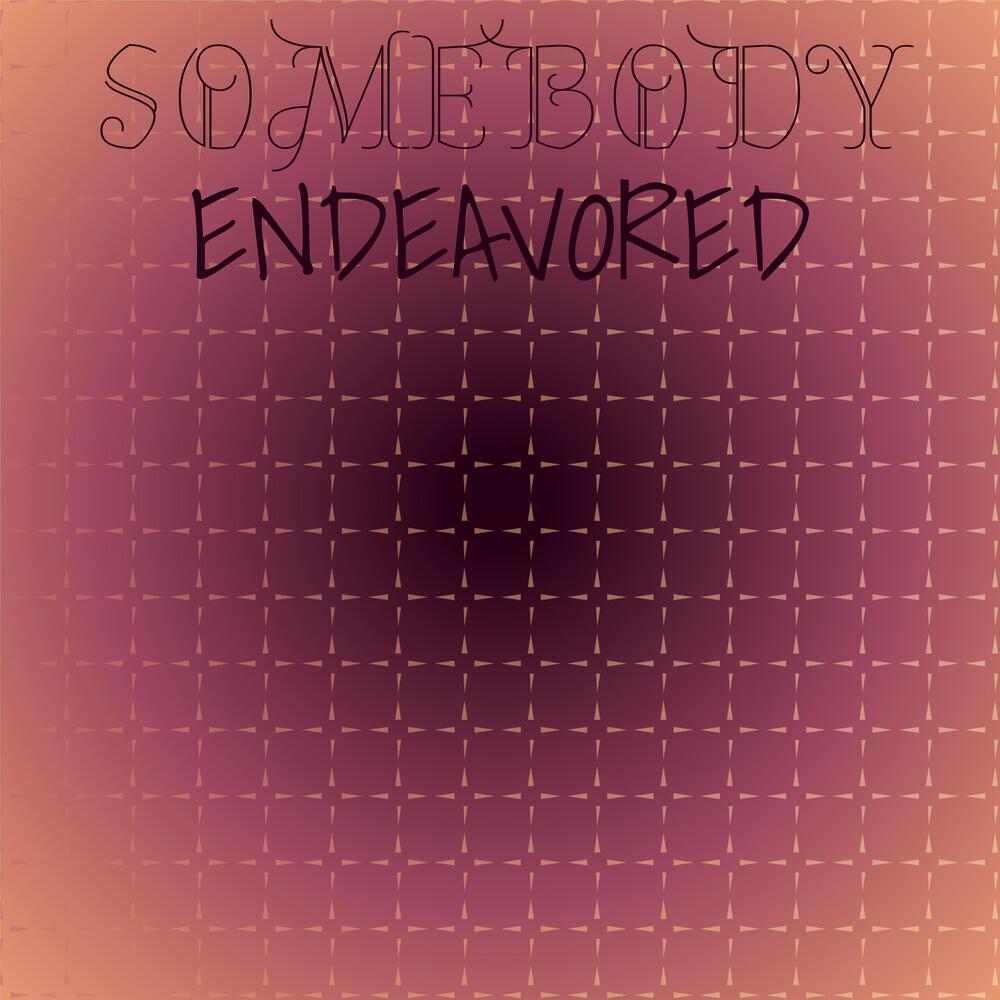 Somebody Endeavored